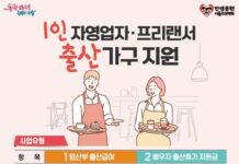 “1인 자영업자‧프리랜서도 출산휴가 가세요” 서울시, 전국 최초 지원 나선다