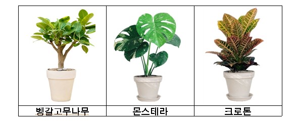 스크린샷 2024-05-07 094658