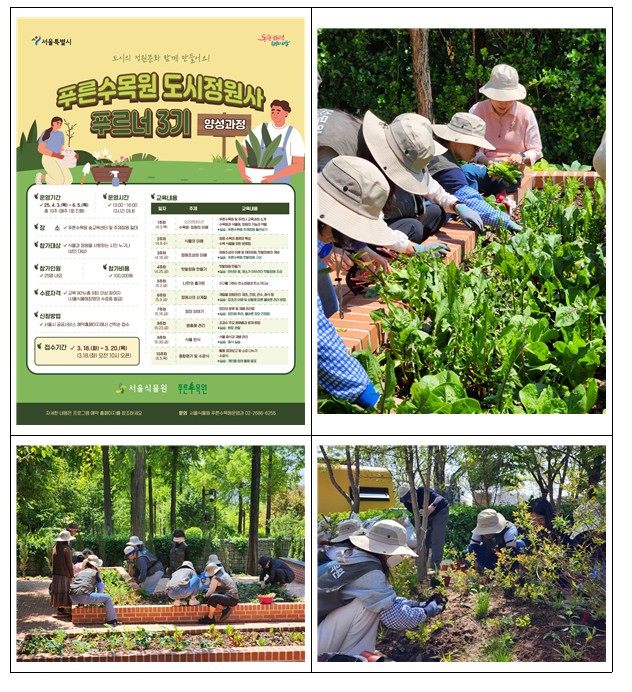 화면 캡처 2025-03-17 110822