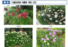 무더운 여름, 정원에서 보물 찾기… 서울대공원 여름꽃 절정
