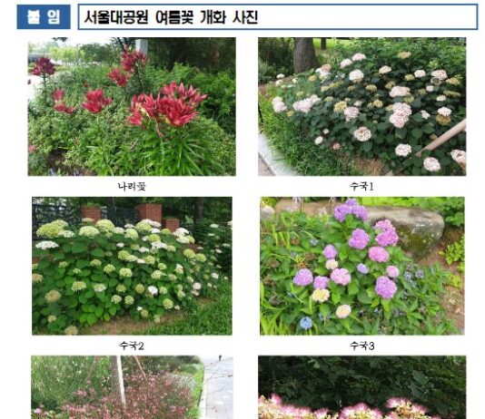 무더운 여름, 정원에서 보물 찾기… 서울대공원 여름꽃 절정