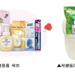 서울시, 라이온코리아 손잡고 임신부 용품 세트 지원 확대