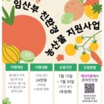동대문구, 임산부‧산모 건강한 먹거리 부담 덜어준다…친환경농산물 꾸러미 지원