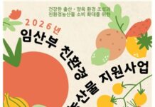 동대문구, 임산부‧산모 건강한 먹거리 부담 덜어준다…친환경농산물 꾸러미 지원